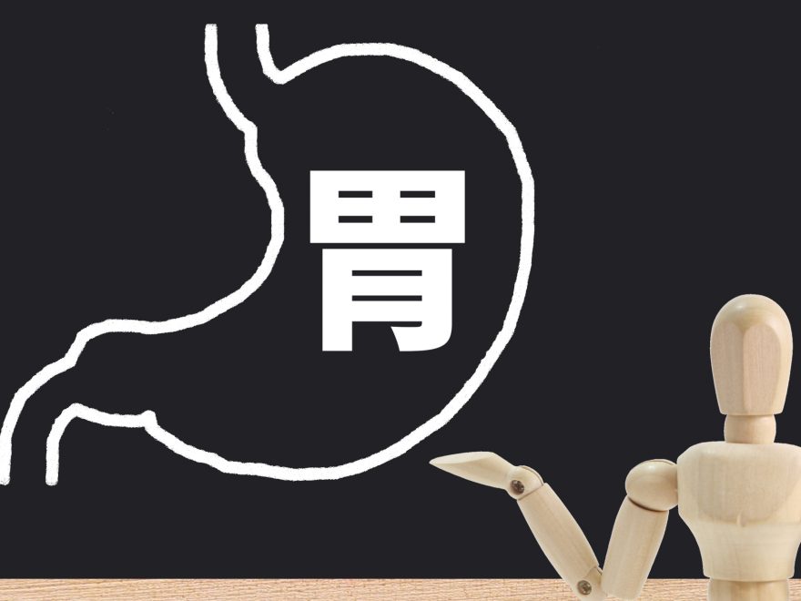 胃の簡易的な図